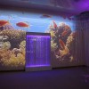 Проекционный дизайн "Виртуальная реальность" безлимитный комплект 1200 анимаций - «globural.ru» - Мытищи