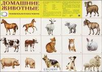Демонстрационные карточки "Домашние животные" - «globural.ru» - Мытищи