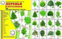 Демонстрационные карточки "Деревья и кустарники" - «globural.ru» - Мытищи