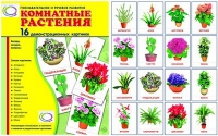 Демонстрационные карточки "Комнатные растения" - «globural.ru» - Мытищи