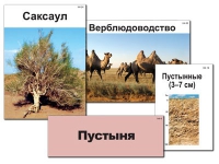 Модель-аппликация "Природные зоны России" - «globural.ru» - Мытищи