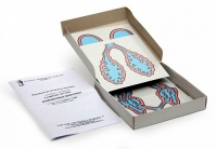 Модель-аппликация Развитие легких позвоночных животных (набор из 5 карт) - «globural.ru» - Мытищи