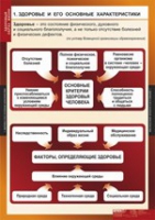ОБЖ Здоровый образ жизни (комплект таблиц) - «globural.ru» - Мытищи
