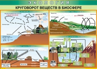 Таблица Круговорот веществ в биосфере 1000*700 винил - «globural.ru» - Мытищи