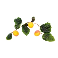 Ветка муляжей "Абрикосы" - «globural.ru» - Мытищи