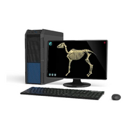 Макет масштабный «Скелет Лошади» Масштаб 1:2 - «globural.ru» - Мытищи