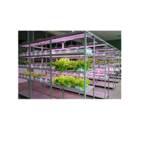 Обучающий комплект "АГРОкласс" - «globural.ru» - Мытищи