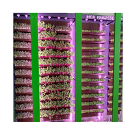 Вертикальная ферма "Моя Микрозелень" комплектация Школьная - «globural.ru» - Мытищи