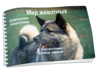 Пособие для слабовидящих "Домашние животные" - «globural.ru» - Мытищи