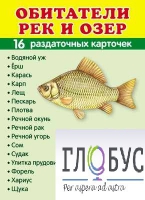 Раздаточные карточки "Обитатели рек и озер" - «globural.ru» - Мытищи