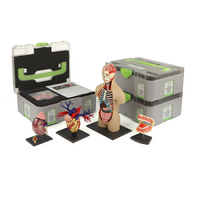 Учебный набор "Анатомия в деталях" - «globural.ru» - Мытищи