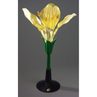 Модель Цветок капусты - «globural.ru» - Мытищи