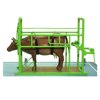 Наглядный макет «Методы и устройства для фиксации КРС» - «globural.ru» - Мытищи