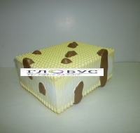 Модель Строение клеточной оболочки - «globural.ru» - Мытищи