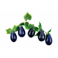 Ветка муляжей "Баклажаны" - «globural.ru» - Мытищи