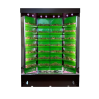 Вертикальная ферма "Моя Микрозелень" комплектация "Театро настольная" - «globural.ru» - Мытищи