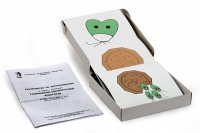 Модель-аппликация Размножение одноклеточной водоросли (набор из 11 карт) - «globural.ru» - Мытищи