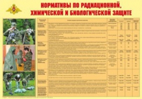 Плакат "Нормативы по радиационной, химической и биологической защите" - «globural.ru» - Мытищи