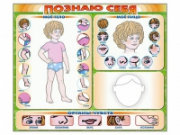 Стенд маркерный "Познаю себя" (тело, голова, органы чувств) - «globural.ru» - Мытищи