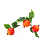 Ветка муляжей "Гранат" - «globural.ru» - Мытищи