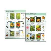 Коллекция "Семена и плоды" (вариант 2) - «globural.ru» - Мытищи