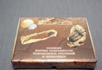 Коллекция "Формы сохранности ископаемых растений и животных" - «globural.ru» - Мытищи