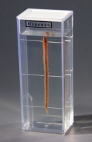 Влажный препарат Нереида - «globural.ru» - Мытищи