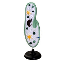 Модель инфузории-туфельки - «globural.ru» - Мытищи