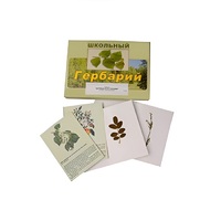 Гербарий "Деревья и кустарники" (22 вида, с иллюстрациями) - «globural.ru» - Мытищи