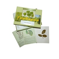 Гербарий "Дикорастущие растения" (30 видов, с иллюстрациями) - «globural.ru» - Мытищи
