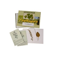 Гербарий "Лекарственные растения" (22 вида, с иллюстрациями) - «globural.ru» - Мытищи