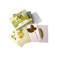 Гербарий "Жизненные формы цветковых растений" (раздаточный) - «globural.ru» - Мытищи