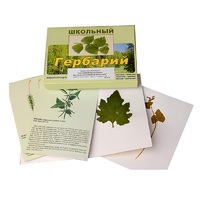 Гербарий "Систематика растений. Высшие споровые и семенные" (раздаточный) - «globural.ru» - Мытищи