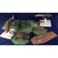 Комплект моделей "Позвоночные животные" (8 штук) - «globural.ru» - Мытищи