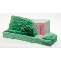 Модель "Структура листа" - «globural.ru» - Мытищи