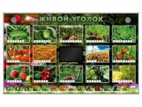 Комплект оборудования "Живой уголок" (растения) - «globural.ru» - Мытищи