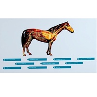 Стенд-планшет светодинамический "Изучение кровеносной системы сельскохозяйственных животных" со сменными панелями - «globural.ru» - Мытищи