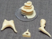 Модель "Косточки слуховые" - «globural.ru» - Мытищи