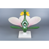 Модель "Цветок яблони" - «globural.ru» - Мытищи