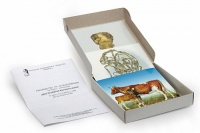 Модель-аппликация Цикл развития бычьего цепня (набор из 7 карт) - «globural.ru» - Мытищи