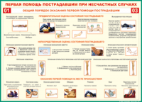 Таблица Общий порядок оказания первой помощи пострадавшим 1000*1400 винил	 - «globural.ru» - Мытищи