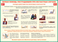 Таблица Порядок действий при переломах конечностей 1000*1400 винил - «globural.ru» - Мытищи