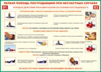 Таблица Порядок действий при коматозном состоянии пострадавшего 1000*1400 винил - «globural.ru» - Мытищи