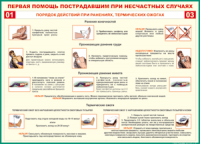 Таблица Порядок действий при ранениях и термических ожогах	 1000*1400 винил - «globural.ru» - Мытищи