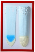 Барельефная модель "Клеточное строение корня" - «globural.ru» - Мытищи