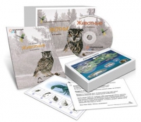 Комбинированное наглядное пособие «Животные» - «globural.ru» - Мытищи