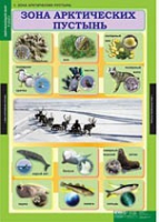 Окружающий мир 4 класс (комплект таблиц) - «globural.ru» - Мытищи