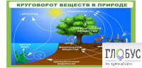 Стенд "Круговорот веществ" - «globural.ru» - Мытищи