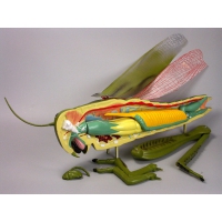 Модель "Кузнечик" - «globural.ru» - Мытищи