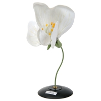 Модель "Цветок гороха" - «globural.ru» - Мытищи